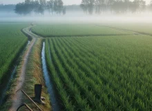 پیشرفت در گیلان بلند نیست؛ ریشه‌دار است