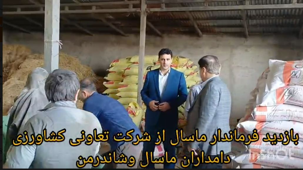 بازدید فرماندار ماسال از تعاونی دامداران / ۲۵۰۰ عضو فعال و تولید روزانه ۸ تن شیر